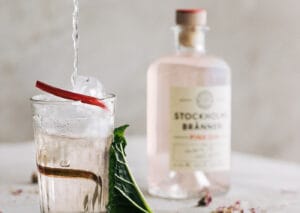 Gin & Tonic Workshop Stockholms Bränneri