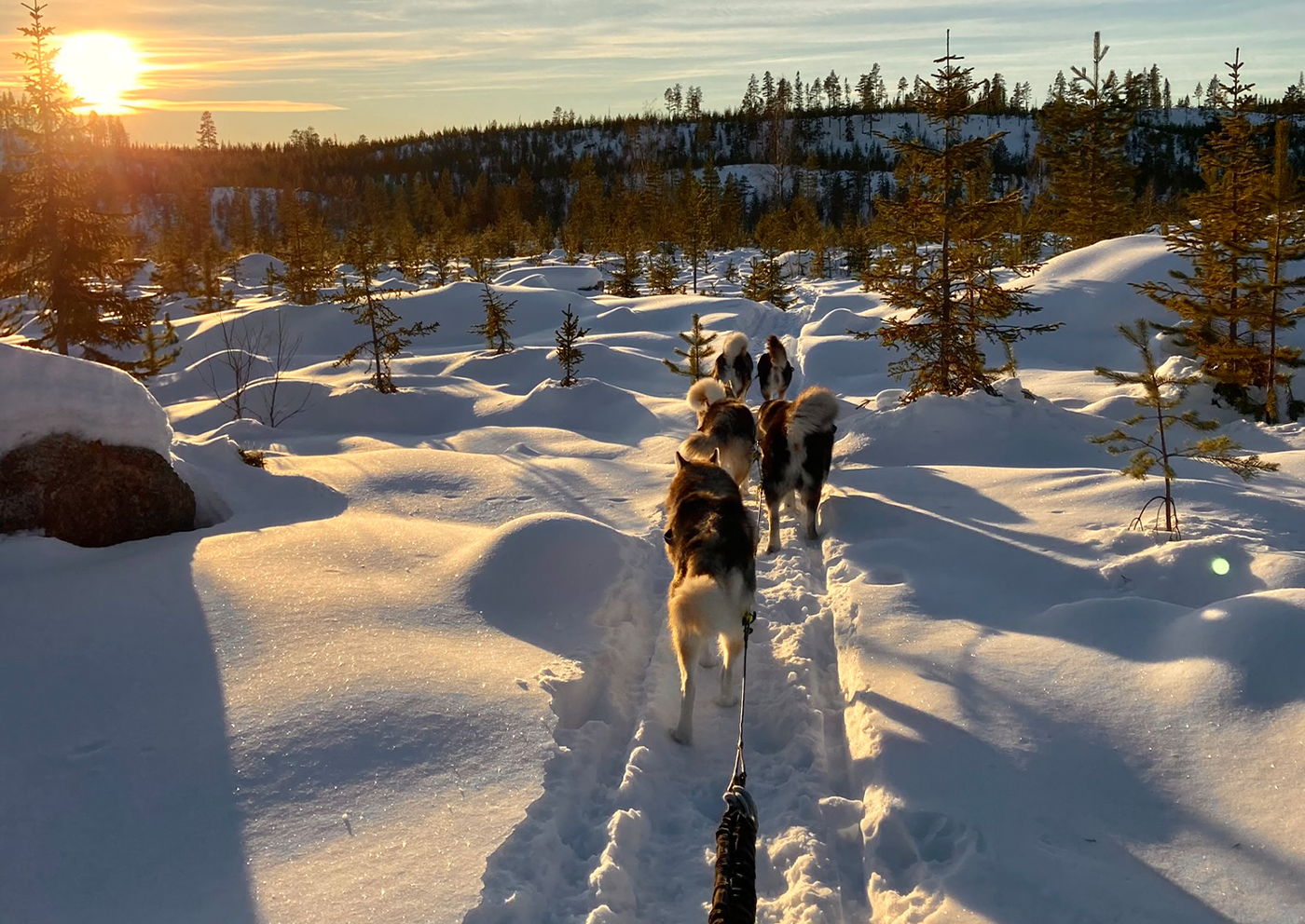 Hundspann